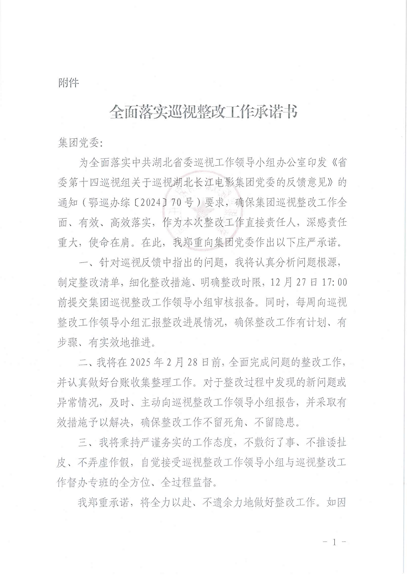 巡视整改承诺书（所有）_02.png