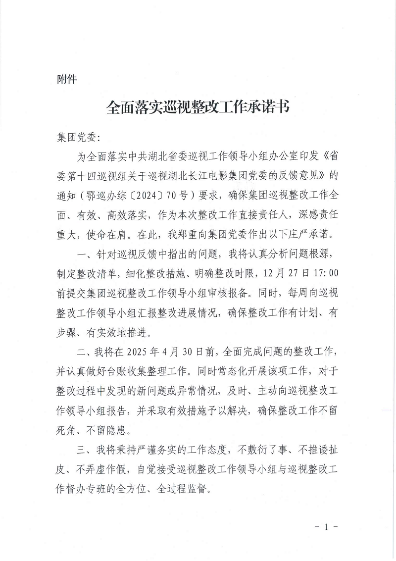 巡视整改承诺书（所有）_04.png