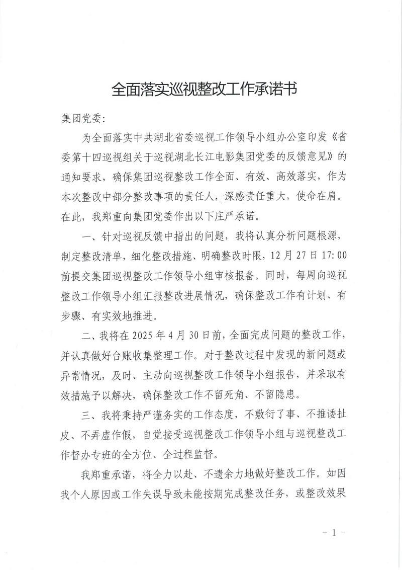 巡视整改承诺书（所有）_12.png