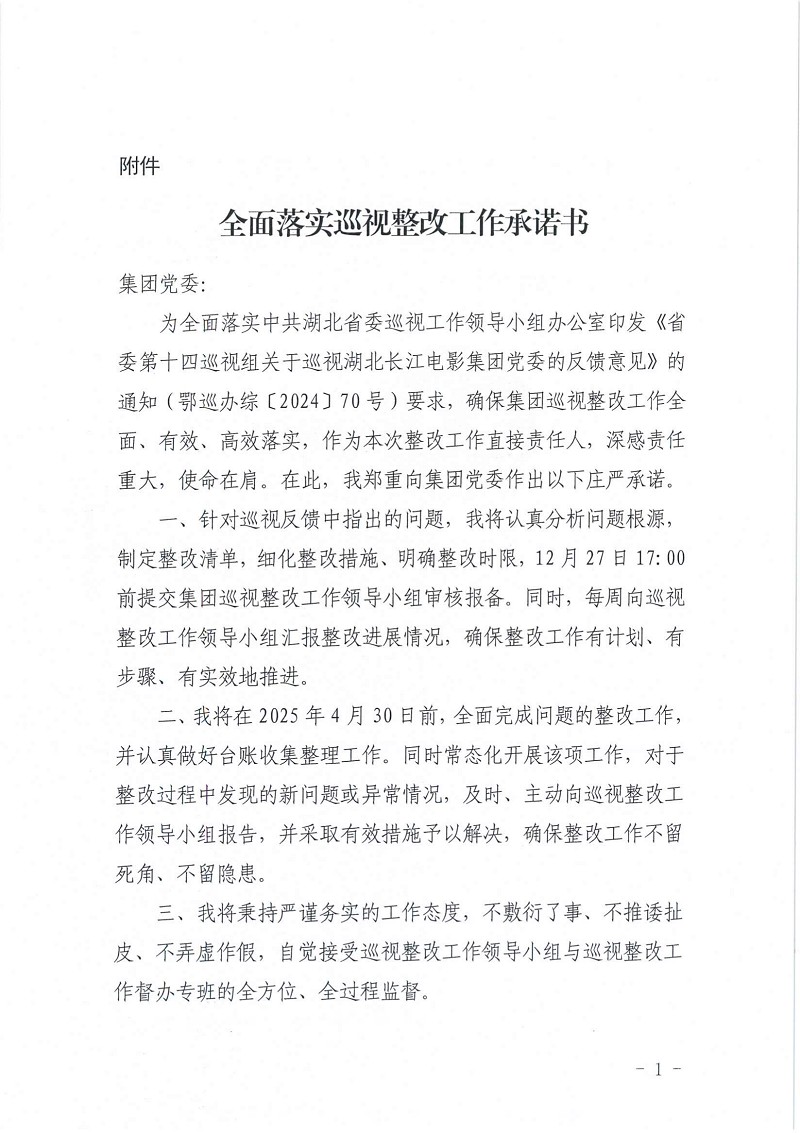 巡视整改承诺书（所有）_14.png