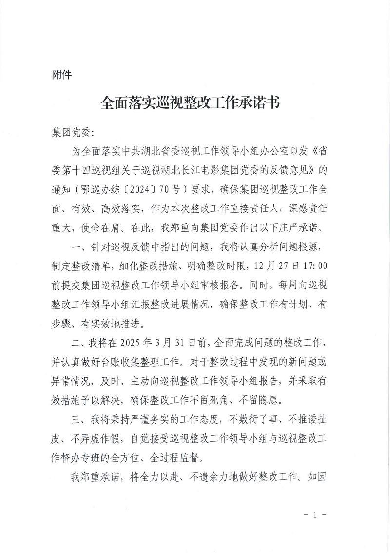 巡视整改承诺书（所有）_20.png